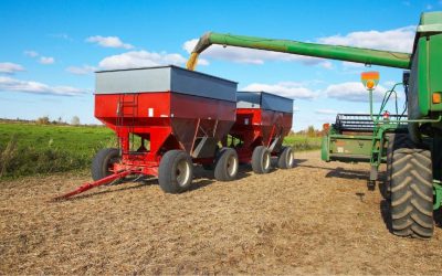 Vente de compost dans la Meuse : contactez-nous !