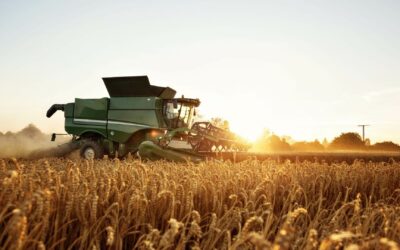 Ensilage de maïs dans la Meuse : une méthode efficace !
