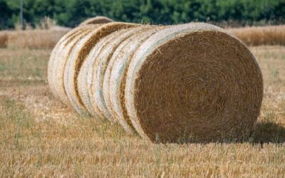 Vente de fourrage Meurthe-et-Moselle