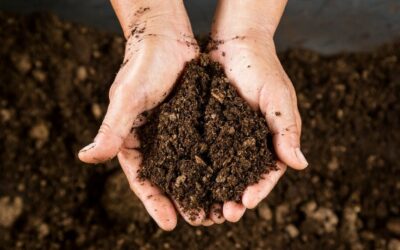 Vente de compost en Meurthe-et-Moselle pour les agriculteurs