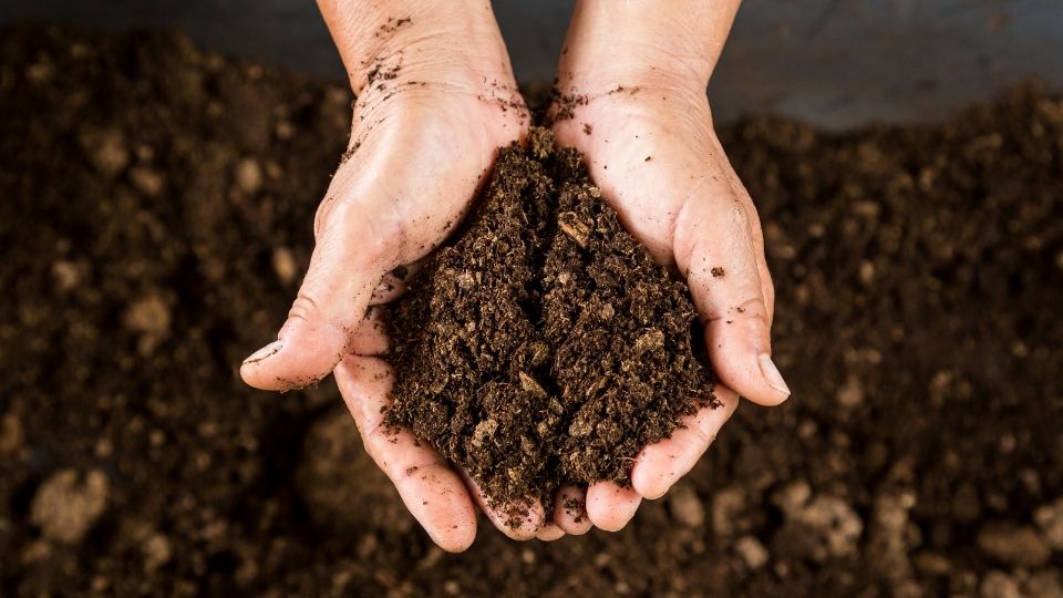 vente compost en Meurthe-et-Moselle