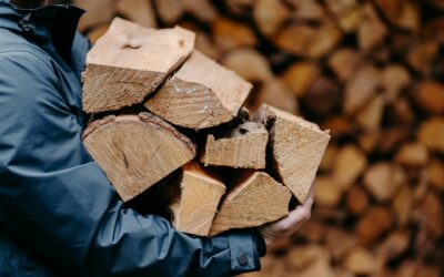 Bois de chauffage dans le Grand-Est : Les avantages et pourquoi faire appel à un professionnel