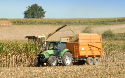 Ensilage de maïs dans le Grand-Est : atouts et service de transport en fonds mouvants